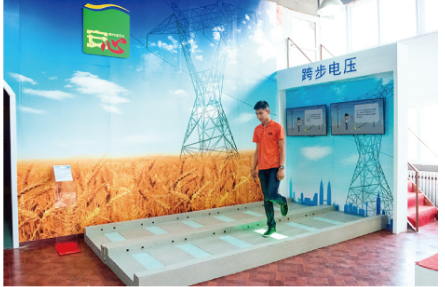 跨步電壓培訓區